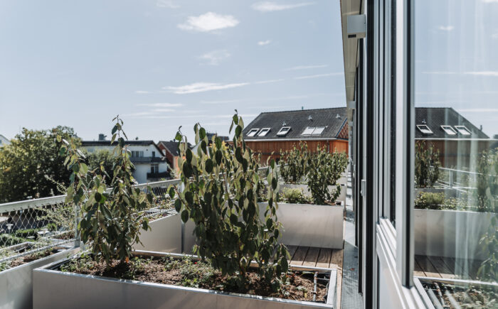 WG Zimmer Gießen günstig, günstiges Zimmer Gießen, billige Studentenwohnung Gießen, günstige WG Wohnung Gießen, WG Zimmer mieten Gießen günstig, günstige Mietwohnung Gießen, günstiges Wohnen für Studenten, Studentenwohnung günstig mieten, Studentenapartment günstig Gießen, günstiges Apartment Gießen Innenstadt, WG Zimmer unter 400 Euro, WG Zimmer unter 450 Euro, WG Zimmer unter 500 Euro, WG Zimmer unter 550 Euro, WG Zimmer unter 600 Euro, WG Zimmer unter 650 Euro, WG Zimmer unter 700 Euro, günstige Miete für Studenten, günstiges Zimmer inklusive Nebenkosten, günstige Warmmiete Gießen, günstige All-Inclusive-Wohnung, All-Inclusive-Zimmer Gießen, WG Zimmer inklusive Strom, WG Zimmer inklusive WLAN, günstige Wohnung inklusive Strom und Wasser, möbliertes WG Zimmer günstig, günstige möblierte Wohnung Gießen, günstige Wohnung mit Möbeln, günstiges Einzelzimmer Gießen, günstiges Zimmer für eine Person, günstiges Studio Apartment, günstige Einzimmerwohnung Gießen, günstige 1-Zimmer-Wohnung, günstiges Apartment für Studenten, bezahlbare Wohnung für Studenten, bezahlbare WG in Gießen, preiswerte Studentenwohnung, günstige Unterkunft für Studenten, günstige Unterkunft zum Studienstart, günstiges Zimmer für Erstsemester, günstige Wohnung für Erstsemester, günstiges Zimmer für Bachelorstudenten, günstige Wohnung für Masterstudenten, günstiges Zimmer für internationale Studenten, günstige WG für internationale Studenten, günstige Wohnung für Erasmus-Studenten, günstige Studentenunterkunft Gießen, günstiges Zimmer in Uni-Nähe, günstige Wohnung nahe Universität Gießen, günstige WG nahe JLU, WG Zimmer JLU Gießen, Wohnung für JLU Studenten, Wohnung für THM Studenten Gießen, günstige WG nahe THM, günstiges Zimmer nahe Campus, günstiges Apartment nahe Campus, WG Zimmer in der Nähe der Uni, Studentenwohnung Innenstadt Gießen, günstige Wohnung Gießen Zentrum, WG Zimmer Gießen Zentrum, günstige Wohnung nahe Bahnhof Gießen, günstige WG mit guter Verkehrsanbindung, günstige Wohnung mit Balkon Gießen, günstiges Apartment mit Küche, günstiges WG Zimmer mit Gemeinschaftsküche, günstiges Zimmer mit Waschmaschine, günstiges Zimmer mit Internet, günstiges Zimmer mit Pauschalmiete, günstige Wohnung ohne zusätzliche Nebenkosten, günstige Wohnung provisionsfrei, WG Zimmer provisionsfrei Gießen, günstige Wohnung direkt vom Vermieter, günstiges Zimmer privat mieten, günstige Wohnung ohne Makler, Wohnung ohne Mindestmietdauer, unbefristete günstige Mietwohnung, günstige Wohnung auf Zeit, günstiges Zimmer für ein Semester, günstige Unterkunft für ein Semester, kurzfristig günstiges Zimmer mieten, WG Zimmer ab sofort verfügbar, günstige Wohnung ab sofort, WG Zimmer zum Wintersemester, günstiges Zimmer zum Sommersemester, günstige Wohnung zum Semesterbeginn, WG Zimmer für Studenten 2026, Wohnung für Studenten Wintersemester 2026, günstige Unterkunft für Austauschstudenten, günstiges Zimmer für Pendler, günstiges Apartment für Singles, günstiges Zimmer für junge Erwachsene, günstige Wohnung für Azubis, günstige Unterkunft für Praktikanten, günstige Wohnung für Berufseinsteiger, günstige WG für Studierende, günstiges Zimmer für Studierende, Studenten WG Gießen günstig, private WG Gießen günstig, günstige 3er-WG Gießen, günstige 4er-WG Gießen, günstige 5er-WG Gießen, günstige 6er-WG Gießen, Zimmer in Wohngemeinschaft günstig, WG Zimmer mit eigenem Schreibtisch, möbliertes Zimmer mit Bett und Schrank, WG Zimmer mit eigenem Kühlschrank, günstiges Zimmer mit eigenem Bad, günstige Wohnung mit Einbauküche, günstige Wohnung mit Tiefgarage, günstige Wohnung mit Parkplatz, günstiges Apartment mit Balkon, günstige Wohnung Schiffenberger Weg Gießen, WG Zimmer Schiffenberger Weg, günstige Wohnung Alicenstraße Gießen, WG Zimmer Alicenstraße, günstige Wohnung Seltersweg Gießen, günstiges Zimmer in Gießen Wieseck, günstige Studentenwohnung in Mittelhessen, günstige Mietangebote Gießen, WG Angebote Gießen, Wohnung mieten Gießen günstig, günstiges Wohnen in Gießen, günstige Wohnung für Medizinstudenten Gießen, WG für Medizinstudenten Gießen, günstiges WG Zimmer Medizin, günstige Studentenwohnung Medizin, Zimmer für Medizinstudenten Gießen, Wohnung für Medizinstudierende, günstige Wohnung für Humanmedizin, günstige WG für Humanmedizin-Studenten, WG Zimmer für Humanmedizin-Studenten, günstige Unterkunft für Medizinstudium, Wohnung für Medizin-Erstsemester Gießen, WG für Medizin-Erstis, günstiges Zimmer für Medizin-Erstis, günstiges Apartment für Mediziner, möbliertes WG Zimmer für Medizinstudenten, günstige Wohnung nahe UKGM Gießen, WG nahe UKGM, günstiges Zimmer am Universitätsklinikum Gießen, Wohnung nahe Uniklinik Gießen, WG Zimmer nahe Uniklinik, günstige Unterkunft für Medizinstudenten am UKGM, günstige Wohnung nahe medizinischer Fakultät Gießen, Zimmer für Medizinstudenten nahe Universität, Unterkunft für Medizinstudenten im Wintersemester, günstiges Wohnen für Mediziner, WG für angehende Ärzte, Wohnung für angehende Ärzte Gießen, günstiges Zimmer für Famulanten, Wohnung für Famulatur Gießen, günstige Unterkunft während der Famulatur, möbliertes Zimmer für Famulatur, WG für Famulanten Gießen, günstiges Apartment für Famulanten, günstiges Zimmer für PJ-Studenten, Wohnung für PJ-Studenten Gießen, WG Zimmer für PJ-Studenten, günstige Unterkunft für das Praktische Jahr, möblierte Wohnung für PJ-Studenten, Zimmer während des Praktischen Jahres, günstiges Zimmer für klinische Praktika, Wohnung für medizinische Praktikanten, Unterkunft für Pflegepraktikum Gießen, günstiges Zimmer für Pflegepraktikanten, Wohnung für Zahnmedizinstudenten Gießen, günstige WG für Zahnmedizinstudenten, Zimmer für Zahnmedizin-Studenten, Unterkunft für Zahnmedizinstudium, günstiges Apartment für Zahnmediziner, Wohnung für internationale Medizinstudenten, günstige WG für ausländische Medizinstudenten, Unterkunft für Medizin-Austauschstudenten, günstiges Zimmer für Erasmus-Medizinstudenten, WG für Medizinstudenten nahe Campus, günstige Wohnung für Medizinstudenten nahe Klinik, günstiges Wohnen während des Medizinstudiums, Studentenwohnung für Medizin-Erstis, günstige Unterkunft für klinische Rotation, kurzfristiges Zimmer für Medizinstudierende, möbliertes Apartment für Medizinstudenten, günstige Unterkunft für PJ und Famulatur, günstige Wohnung für Studenten im Gesundheitswesen, günstiges Zimmer für Pflegewissenschaft-Studenten, günstige WG für Biomedizin-Studenten, günstige Wohnung für Biologiestudenten Gießen, günstiges Zimmer für Pharmaziestudenten, günstige WG für Pharmazie-Studenten, günstiges Apartment für Psychologiestudenten Gießen, günstiges Zimmer für Lehramtsstudenten, günstiges WG Zimmer für Wirtschaftsstudierende, Wohnung für internationale Studierende Gießen, günstiges Wohnen für Uni-Mitarbeiter, möblierte Unterkunft für Gaststudenten, Studentenloft Gießen, Studentenloft WG Zimmer, Studentenloft Wohnung mieten